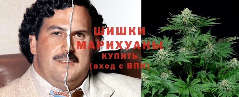 купить   Алзамай  Бошки марихуана Bruce Banner 